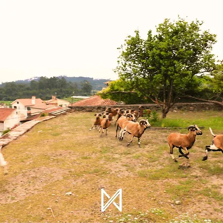 Mystay - Colina Da Felicidade *